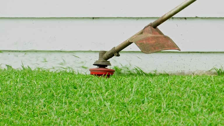 Best Lawn Disease Treatment  in Burke Centre, VA